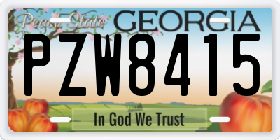 GA license plate PZW8415