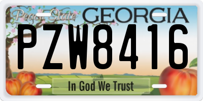 GA license plate PZW8416