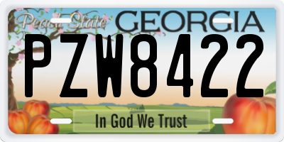 GA license plate PZW8422