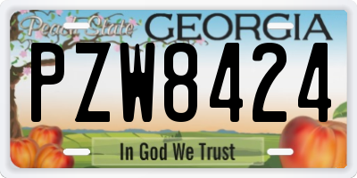 GA license plate PZW8424