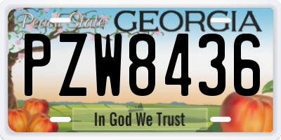 GA license plate PZW8436