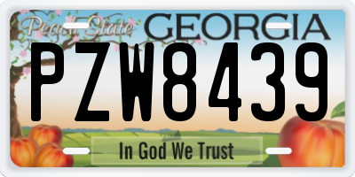 GA license plate PZW8439