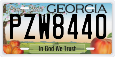 GA license plate PZW8440