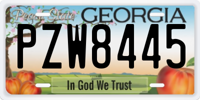 GA license plate PZW8445