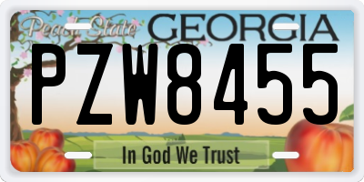 GA license plate PZW8455