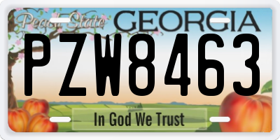 GA license plate PZW8463