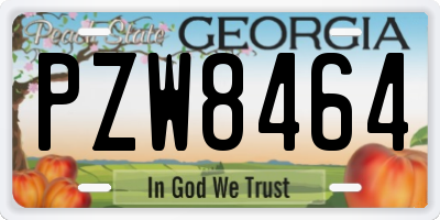 GA license plate PZW8464