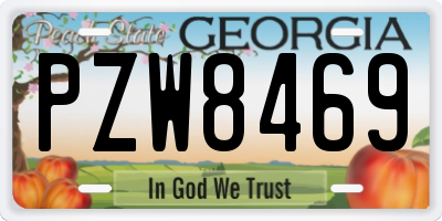GA license plate PZW8469