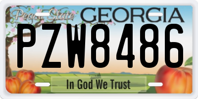 GA license plate PZW8486