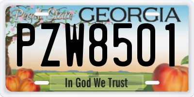 GA license plate PZW8501