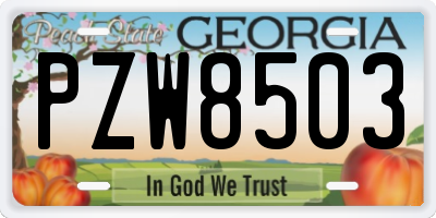 GA license plate PZW8503