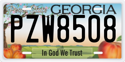 GA license plate PZW8508