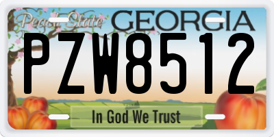 GA license plate PZW8512