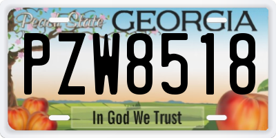 GA license plate PZW8518