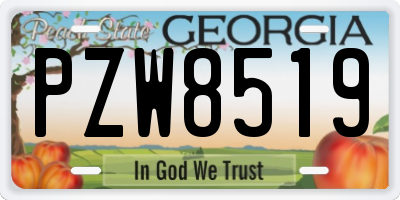 GA license plate PZW8519