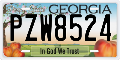 GA license plate PZW8524