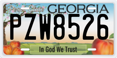 GA license plate PZW8526