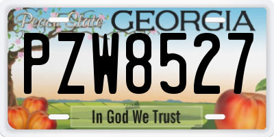 GA license plate PZW8527