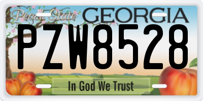 GA license plate PZW8528
