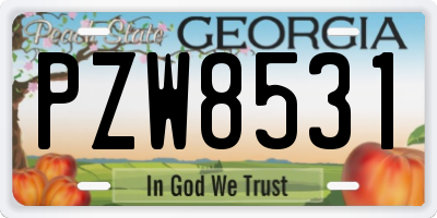 GA license plate PZW8531