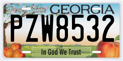 GA license plate PZW8532