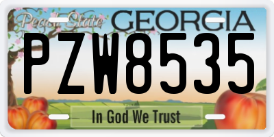 GA license plate PZW8535
