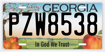 GA license plate PZW8538