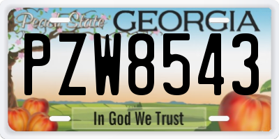GA license plate PZW8543
