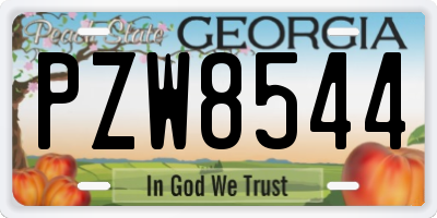 GA license plate PZW8544