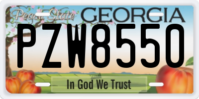 GA license plate PZW8550
