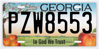 GA license plate PZW8553