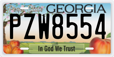 GA license plate PZW8554