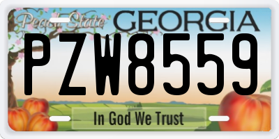 GA license plate PZW8559
