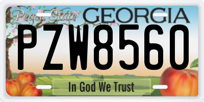 GA license plate PZW8560