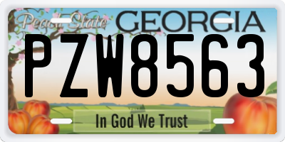 GA license plate PZW8563