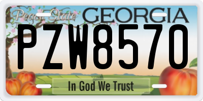 GA license plate PZW8570