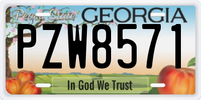 GA license plate PZW8571