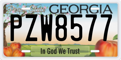 GA license plate PZW8577