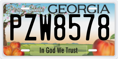 GA license plate PZW8578