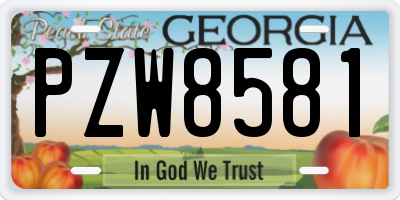 GA license plate PZW8581