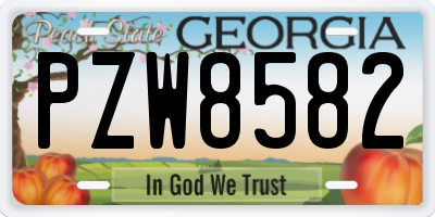 GA license plate PZW8582