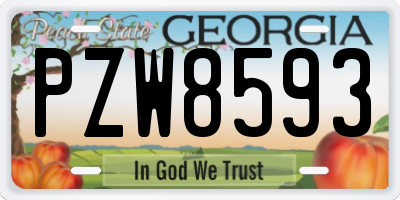GA license plate PZW8593