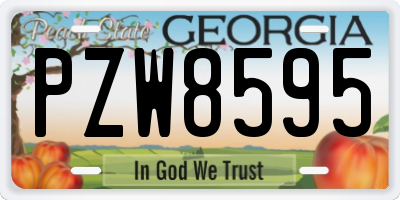 GA license plate PZW8595