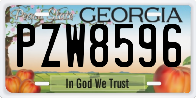 GA license plate PZW8596