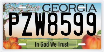 GA license plate PZW8599