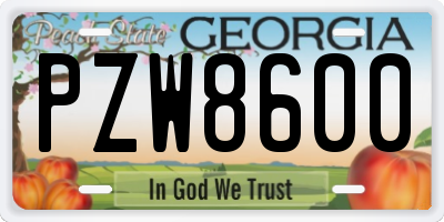 GA license plate PZW8600