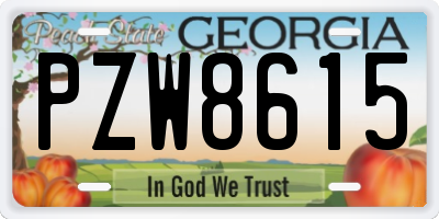 GA license plate PZW8615
