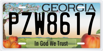 GA license plate PZW8617