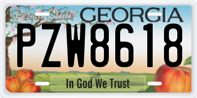 GA license plate PZW8618