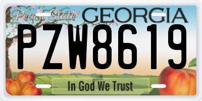 GA license plate PZW8619